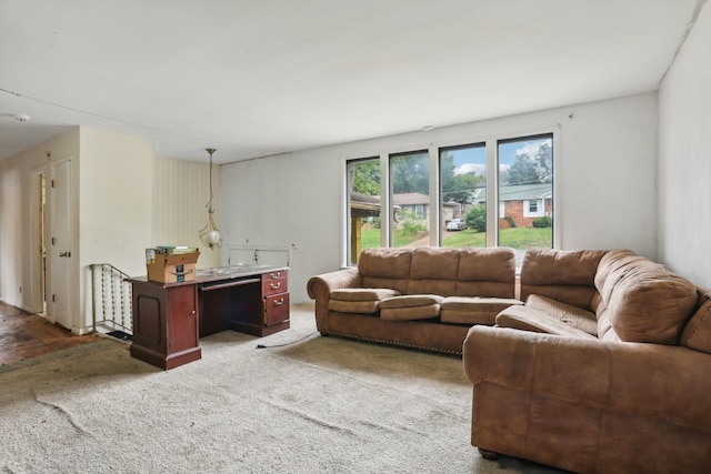 living room with hardwood / wood-style floors