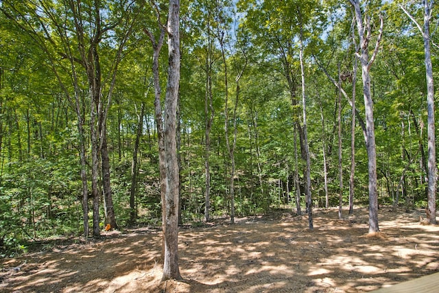 view of local wilderness