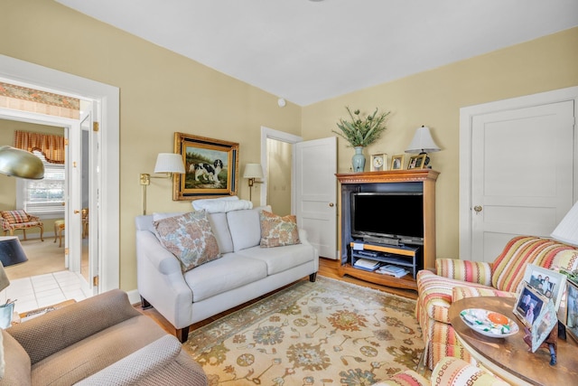 living room with light hardwood / wood-style flooring