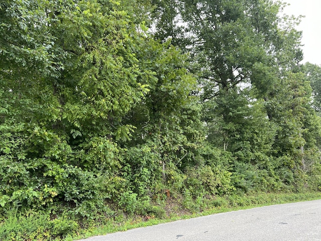 Listing photo 2 for 0 County Rd, Jamestown TN 38556