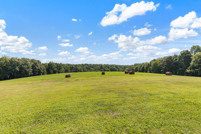 view of yard featuring a rural view