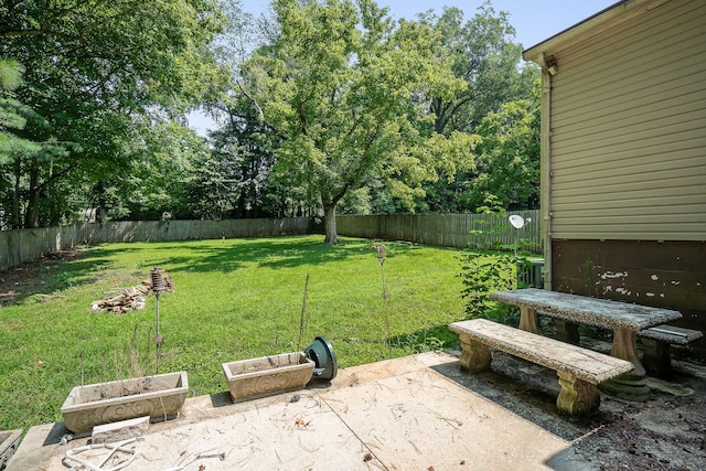 view of yard featuring a patio