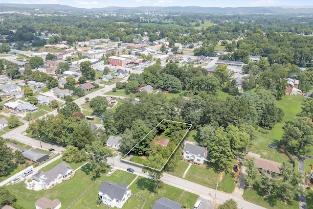 drone / aerial view