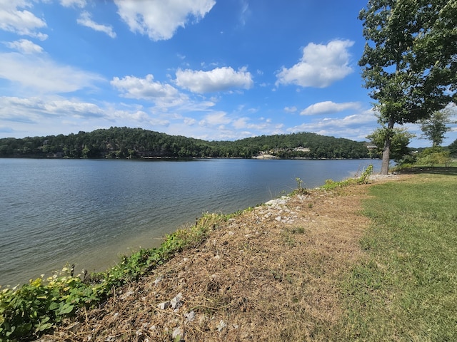 858 River Front Dr S, Clifton TN, 38425 land for sale