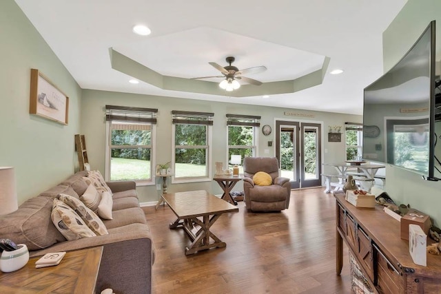 living room with a raised ceiling, plenty of natural light, and dark wood-type flooring