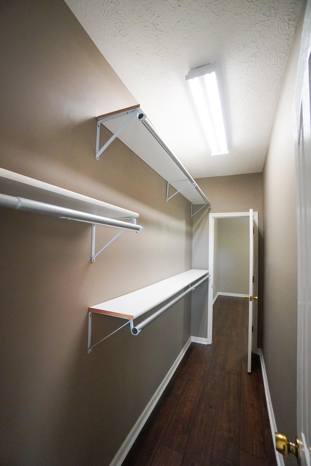 walk in closet featuring dark hardwood / wood-style flooring