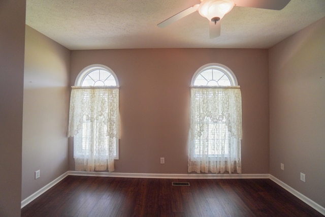 empty room featuring plenty of natural light, a textured ceiling, and dark hardwood / wood-style flooring