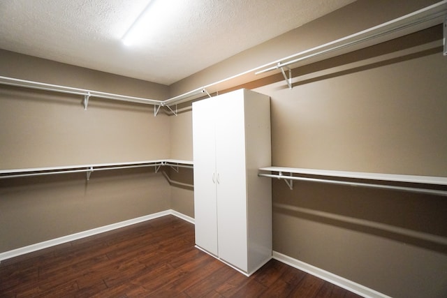 walk in closet featuring dark hardwood / wood-style flooring