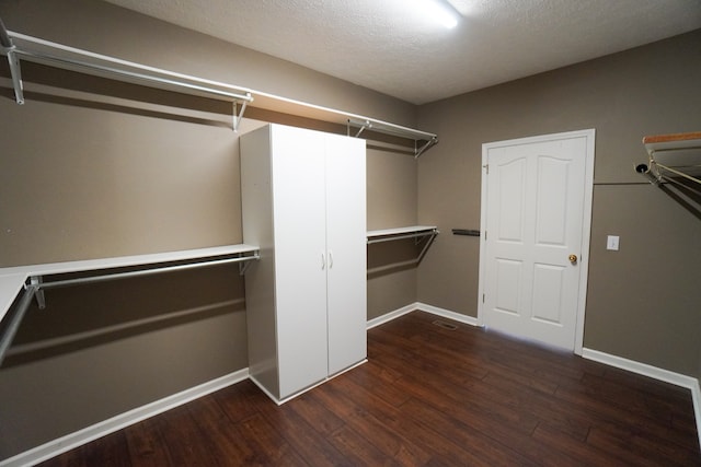 spacious closet featuring dark wood-type flooring