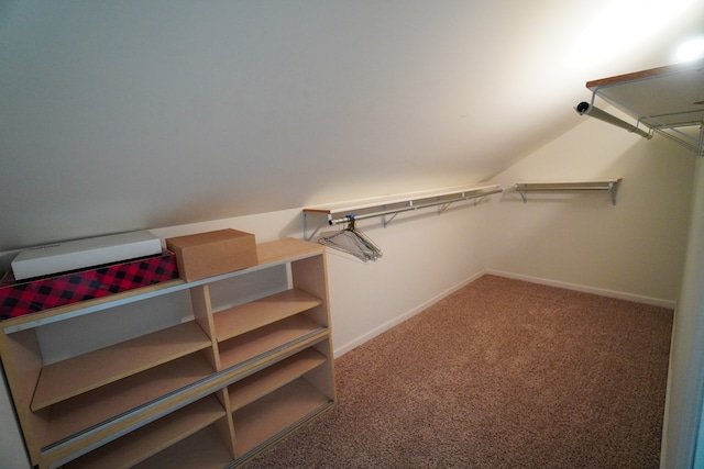 spacious closet featuring lofted ceiling and carpet