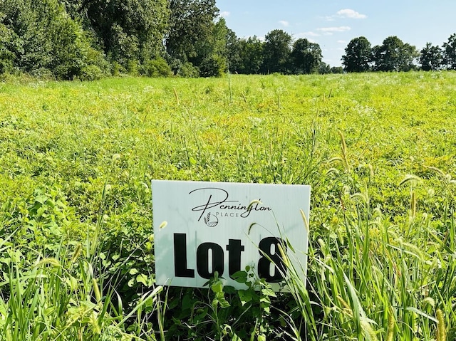 0 Dugout Rd, Summertown, TN 38483