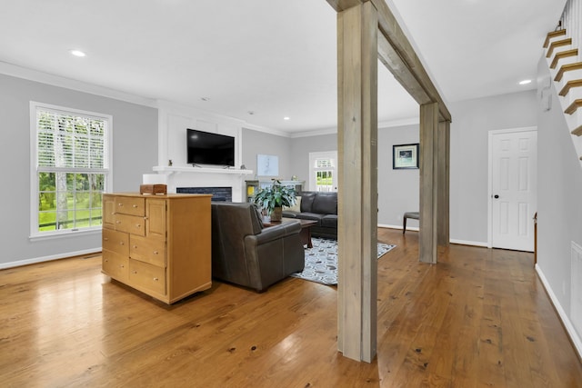 living room with crown molding and hardwood / wood-style floors