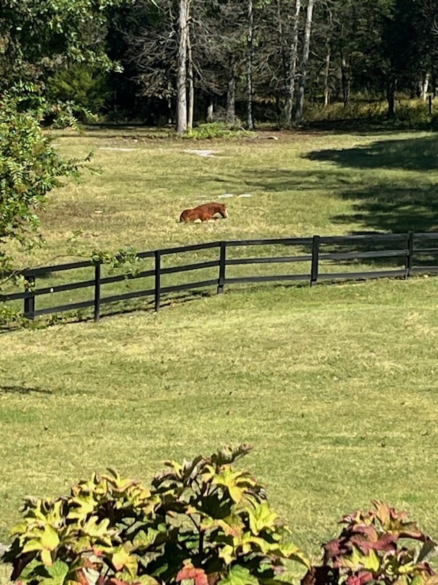 view of home's community featuring a lawn