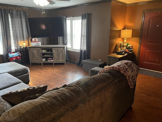 living room with ceiling fan, crown molding, and dark hardwood / wood-style flooring