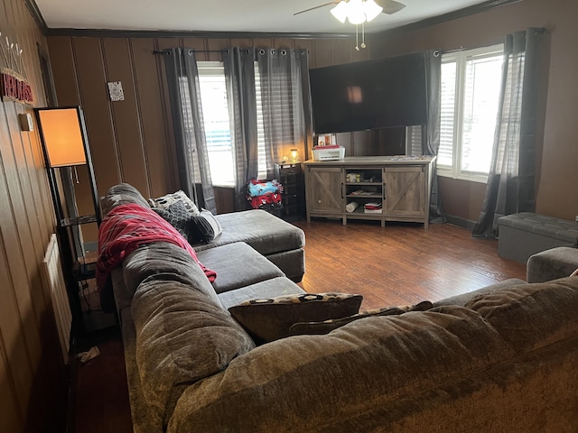 living room with ceiling fan, dark wood-type flooring, and crown molding