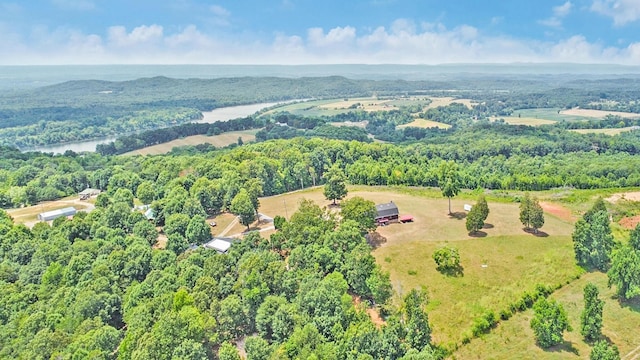 birds eye view of property featuring a water view and a forest view