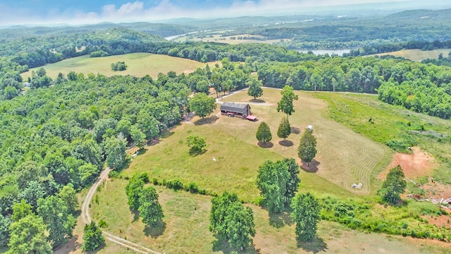 bird's eye view with a water view, a wooded view, and a rural view