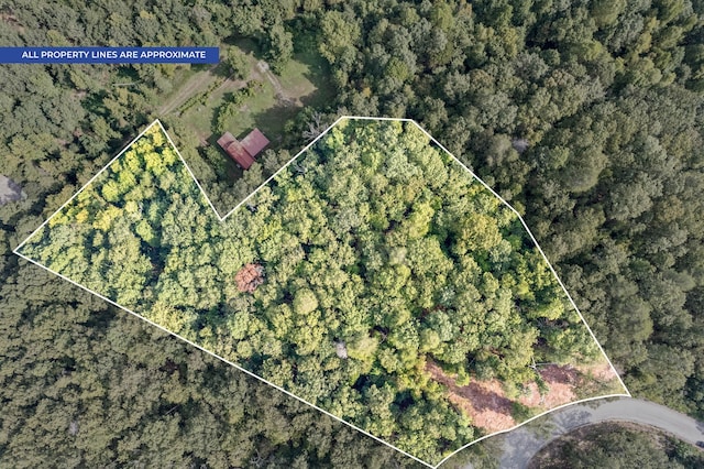 338 Crest Ct, Waverly TN, 37185 land for sale