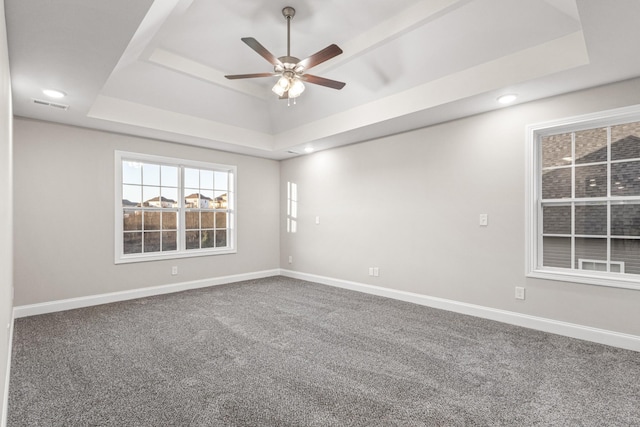 spare room with carpet and a raised ceiling