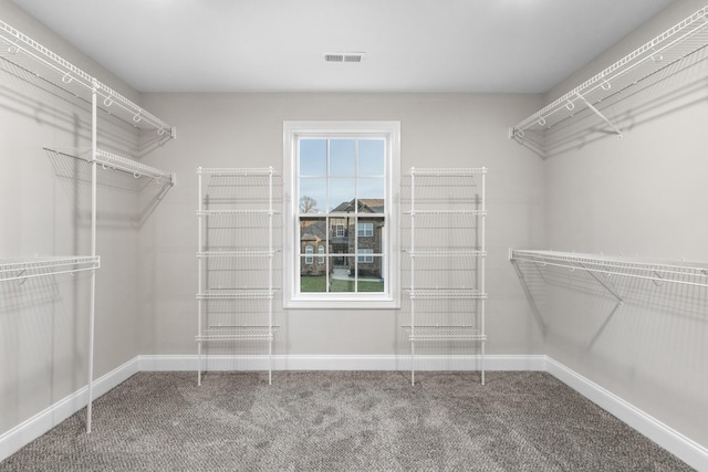 spacious closet with carpet floors