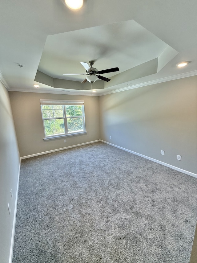 spare room featuring crown molding, carpet, a tray ceiling, and ceiling fan