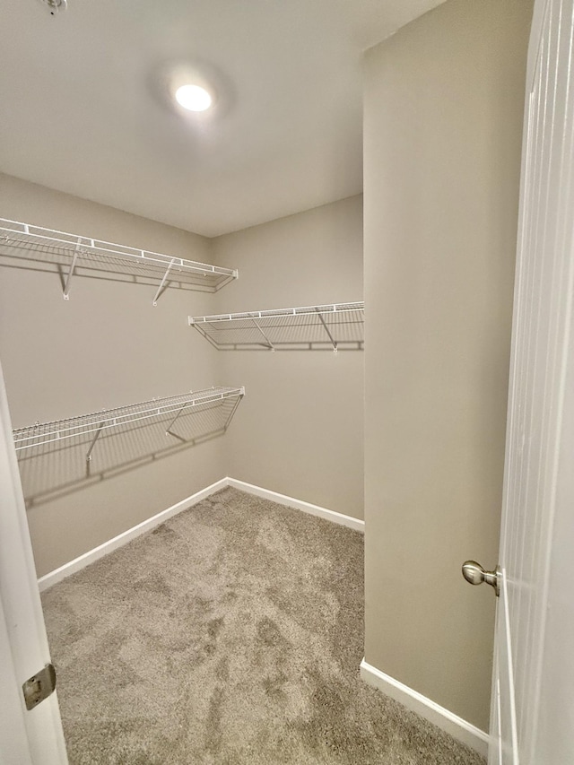 332 Ezra St, Pleasant View, TN 37146 - photo 6