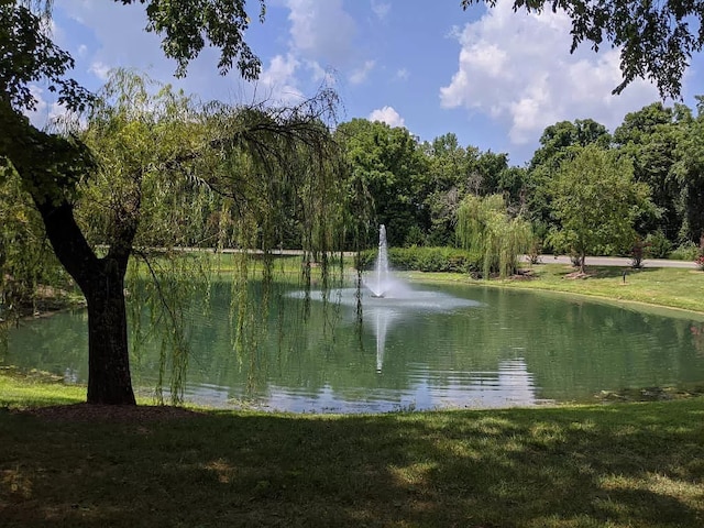 view of water feature