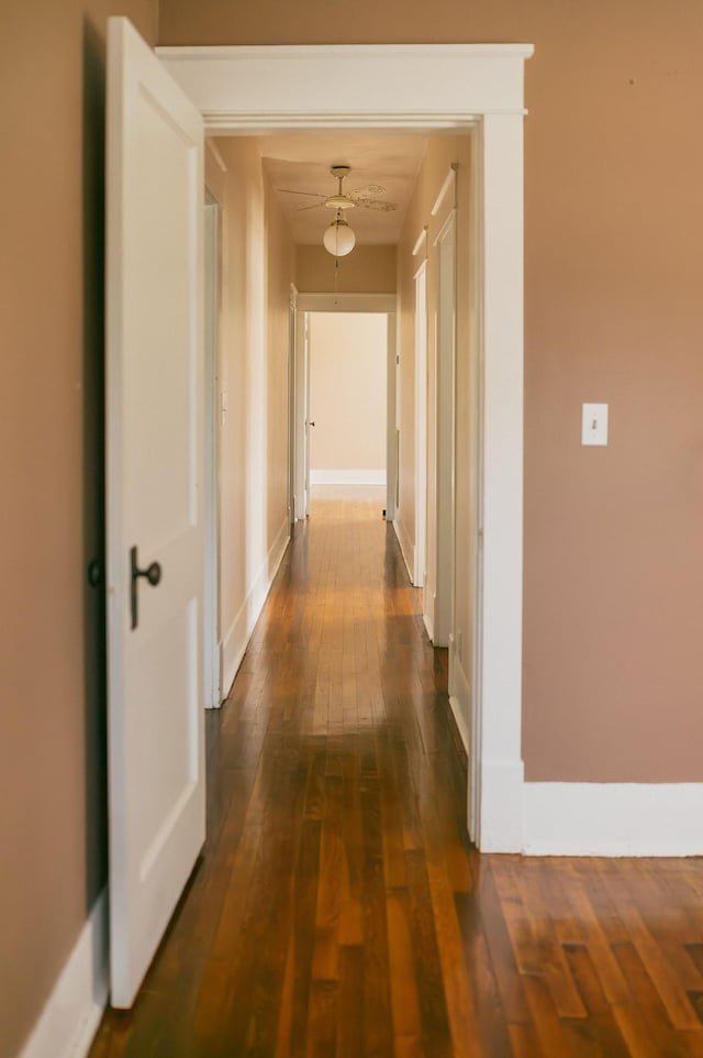 hall featuring dark wood-type flooring