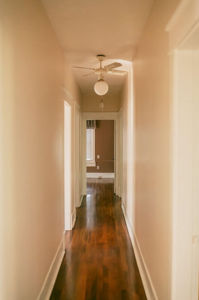 corridor featuring dark hardwood / wood-style floors