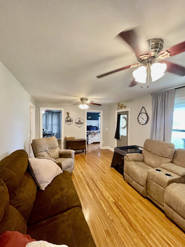 living room with ceiling fan and light hardwood / wood-style flooring