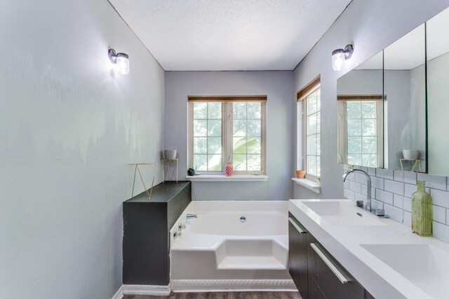 bathroom featuring backsplash, vanity, a textured ceiling, and a washtub