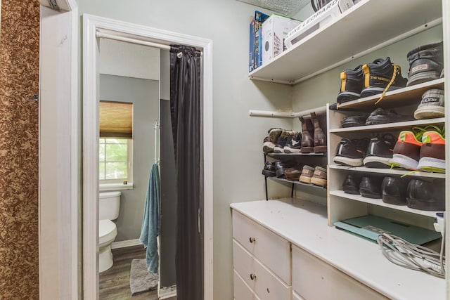 walk in closet with hardwood / wood-style floors