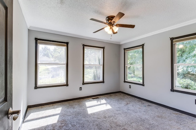 carpeted spare room with ceiling fan, crown molding, and a textured ceiling