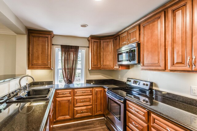 kitchen with sink, stainless steel appliances, dark hardwood / wood-style flooring, and dark stone countertops