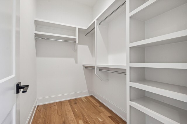 spacious closet featuring light hardwood / wood-style flooring