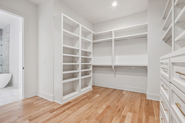 spacious closet with light wood-type flooring