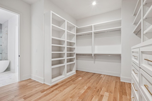 spacious closet with light hardwood / wood-style floors