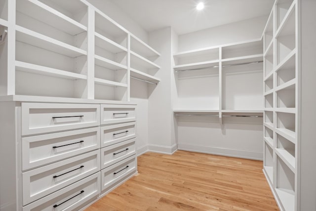 spacious closet with light wood-type flooring