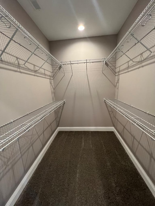 spacious closet featuring visible vents and carpet