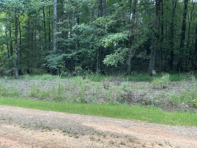1102 Driver Ln, Saulsbury, TN 38067