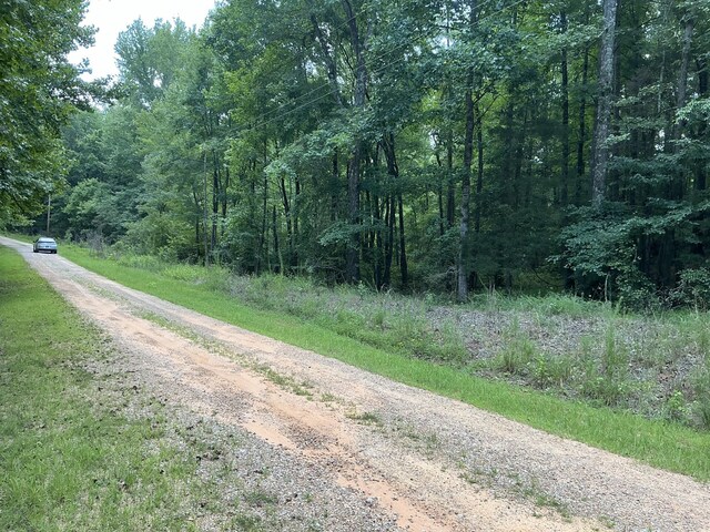 1102 Driver Ln, Saulsbury, TN 38067