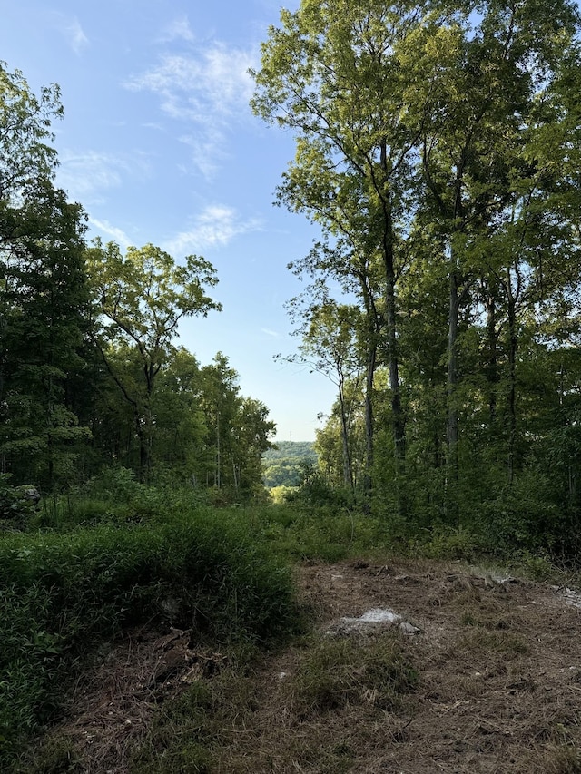 11911 Franklin Rd, College Grove, TN 37046 - photo 12