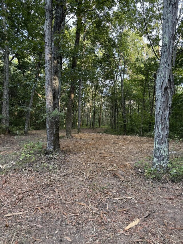 11911 Franklin Rd, College Grove, TN 37046 - photo 16