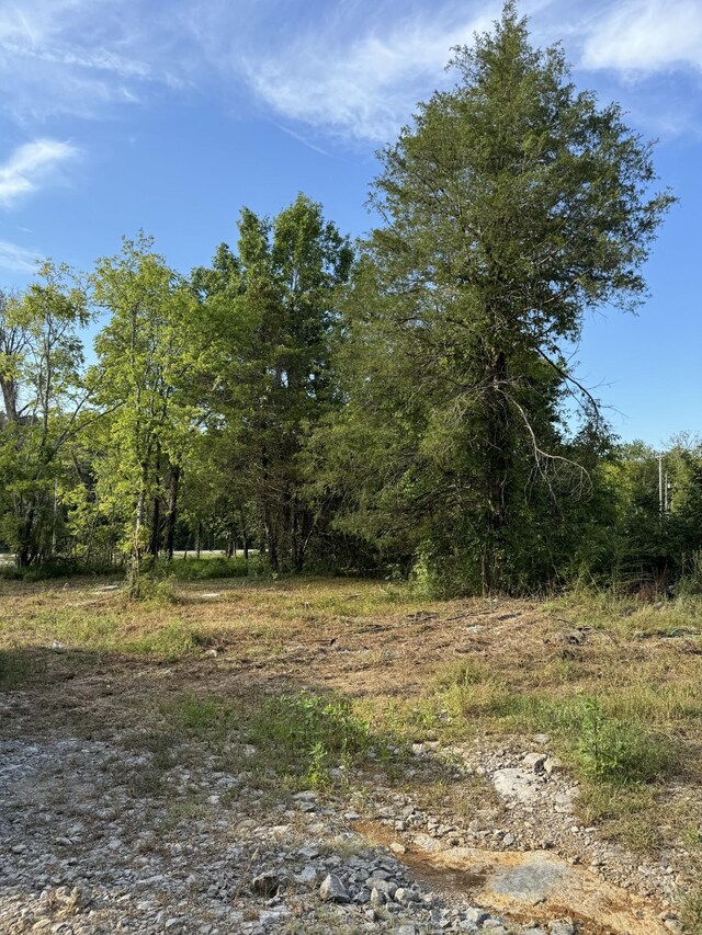 11911 Franklin Rd, College Grove, TN 37046 - photo 25