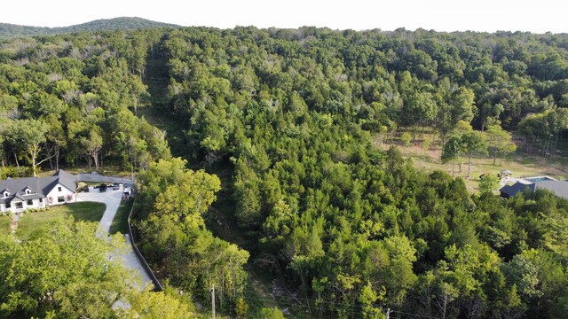 11911 Franklin Rd, College Grove, TN 37046 - photo 18
