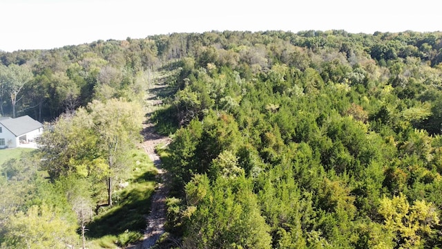 11911 Franklin Rd, College Grove, TN 37046 - photo 7