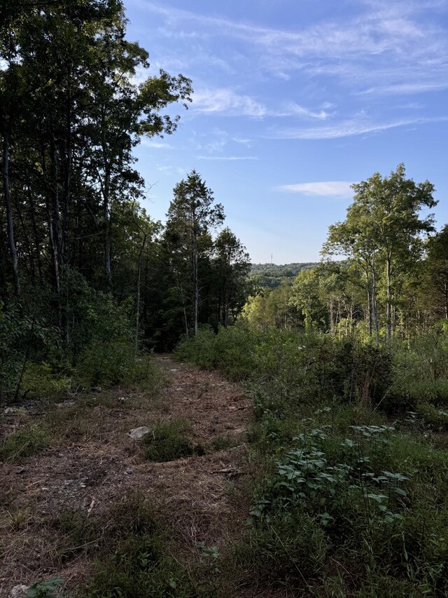 11911 Franklin Rd, College Grove, TN 37046 - photo 20