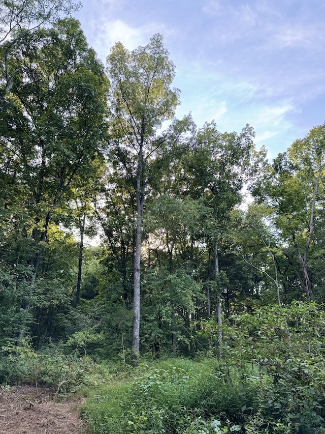 11911 Franklin Rd, College Grove, TN 37046 - photo 14