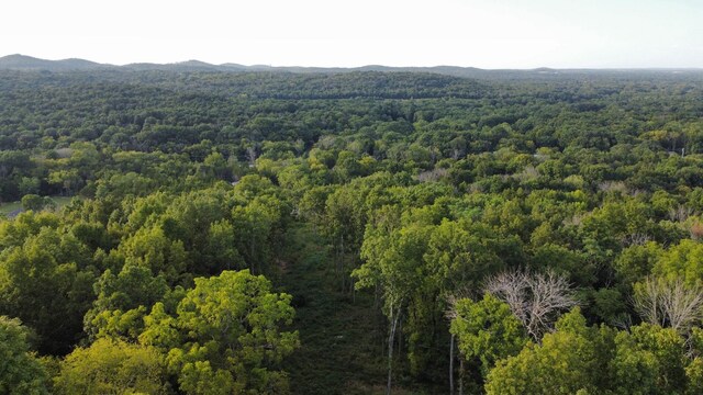 11911 Franklin Rd, College Grove, TN 37046 - photo 11