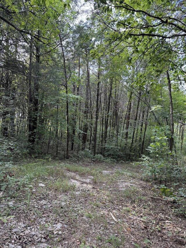 11911 Franklin Rd, College Grove, TN 37046 - photo 21